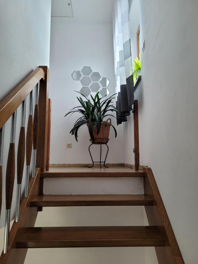Agroturystyka Kaszuby Villagehome Borzytuchom Bagian luar foto