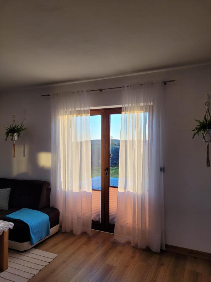 Agroturystyka Kaszuby Villagehome Borzytuchom Bagian luar foto