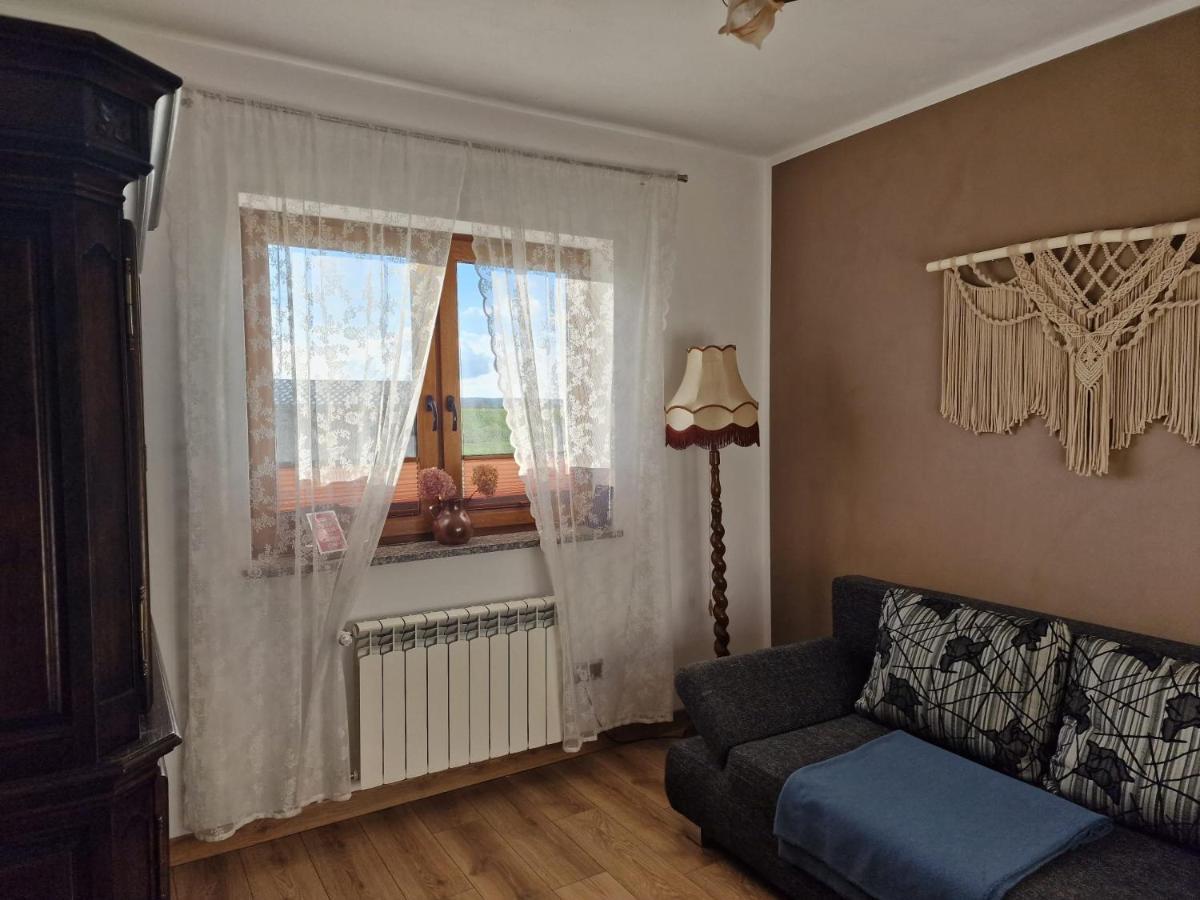 Agroturystyka Kaszuby Villagehome Borzytuchom Bagian luar foto
